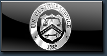 U.S. Customs Service Seal (pre 911).